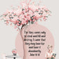 John 10:10